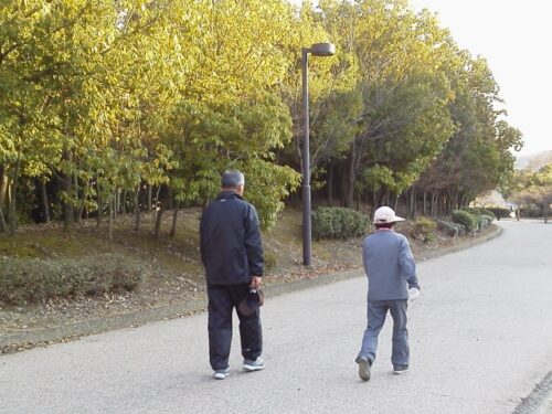 お年寄りの夫婦が公園を歩いている